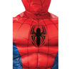 Picture of COS-B Deluxe Spiderman (L)
