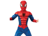 Picture of COS-B Deluxe Spiderman(M)