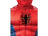 Picture of COS-B Deluxe Spiderman(M)