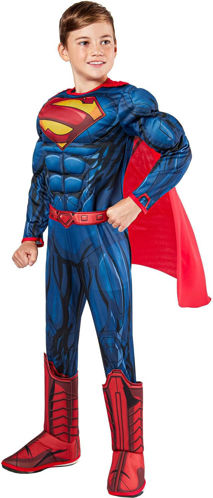 Picture of SUPERMAN DELUXE (LARGE) RUBIES