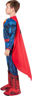Picture of SUPERMAN DELUXE (LARGE) RUBIES