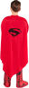 Picture of SUPERMAN DELUXE (LARGE) RUBIES