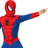 Picture of SPIDER-MAN CLASSIC (Large)