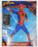 Picture of SPIDER-MAN CLASSIC (Large)