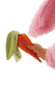 Picture of Cos- G PINK RABBIT (12-18M ) COSTUME