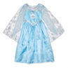 Picture of COS-G ELSA DELUXE DRESS (Lrg)