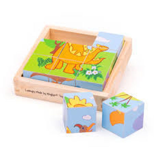Picture of Dino cube
